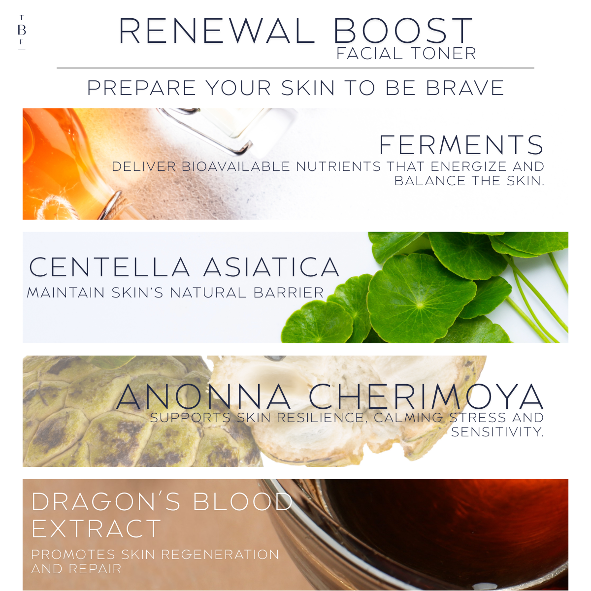 Renewal Boost Toner with Dragon’s Blood